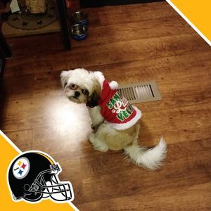 Meet your Posher, Julia